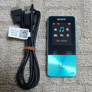 SONY ウォークマン NW-S313 L (ブルー) (#2)