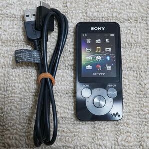 SONY WALKMAN ウォークマン S10シリーズ NW-S14(B) ブラック (#2)※美品