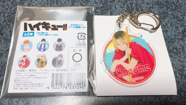 ハイキュー!! トレーディングアクリルキーホルダー プール掃除 孤爪研磨 黒尾鉄朗