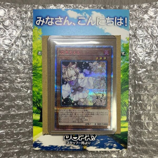 遊戯王 灰流うらら 20th シークレットレア 20thアニバーサリーレジェンドコレクション 20TH-JPC85