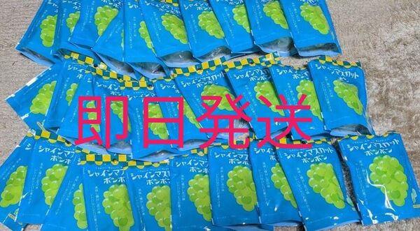 新品未開封 シャインマスカットボンボン 30袋セット
