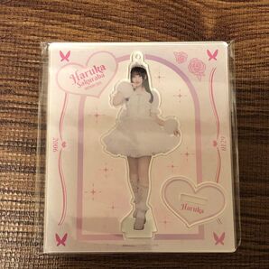 桜庭遥花 生誕祭2025 アクリルスタンド 生誕衣装 アクスタ ぱるたん きゅーすと CUTIE STREET キュースト