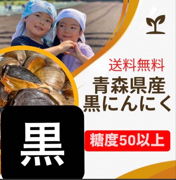 青森県産黒にんにく 訳あり300g