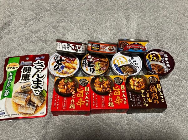 缶詰,パウチ詰め合わせ(10種類,計11個) 【B】
