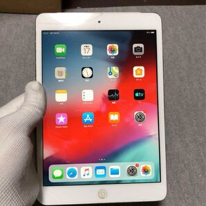 1021 mini 2 Cellular 16GB