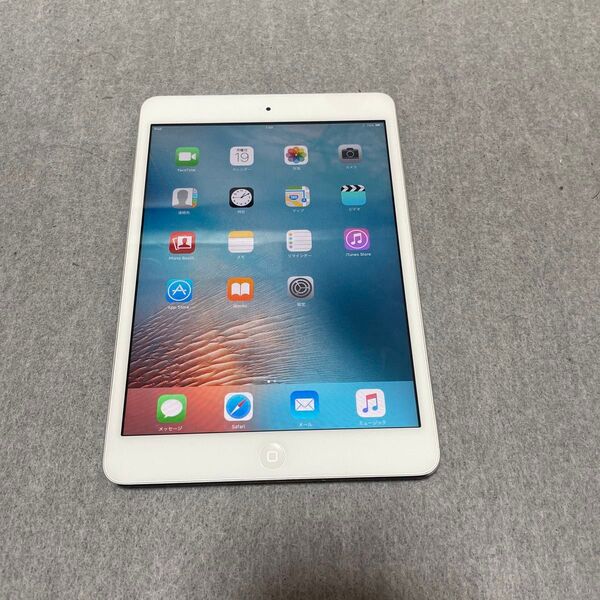 1007 iPad mini 16GB