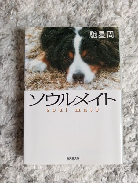 ソウルメイト (集英社文庫 は31-6) 馳星周/著
