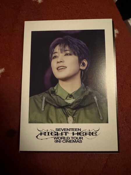 SEVENTEEN ウォヌ WONWOO 映画 入場特典 匿名発送