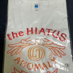 the HIATUS(ELLEGARDEN MONOEYES 細美武士) Tシャツ(S)