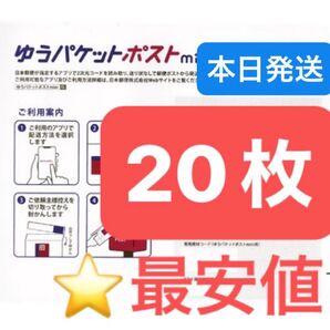 ヘアゴム1本 ゆうパケットポストmini 専用封筒 20枚 ★即納!