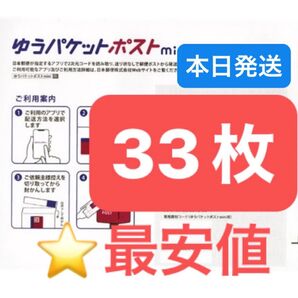 ヘアゴム1本 ゆうパケットポストmini 専用封筒 33枚 ★即納!