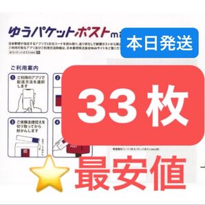 ヘアゴム1本 ゆうパケットポストmini 専用封筒 33枚 ★即納!