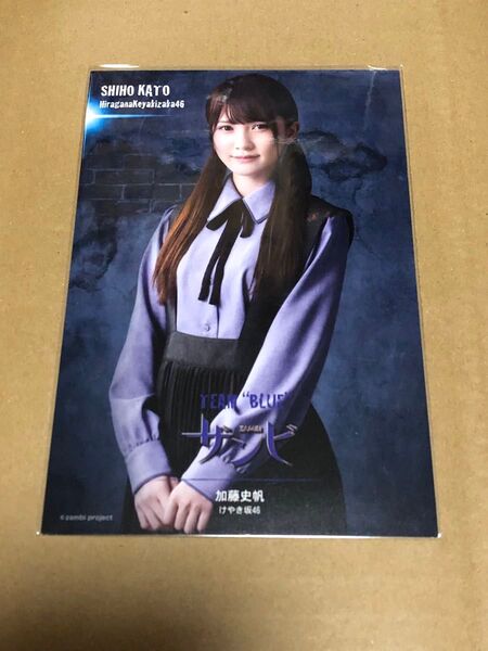 日向坂46 加藤史帆 ザンビ ポストカード けやき坂46
