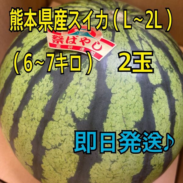 産地直送 熊本県産 スイカ×2玉 秀品