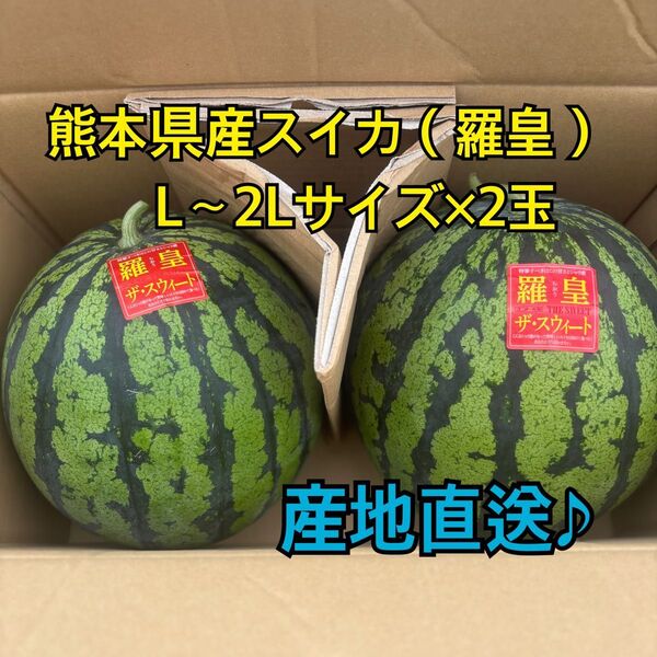 産地直送 熊本県産 スイカ×2玉(羅皇ザ スウィート) 秀品 L~2Lサイズ(6~7キロ)