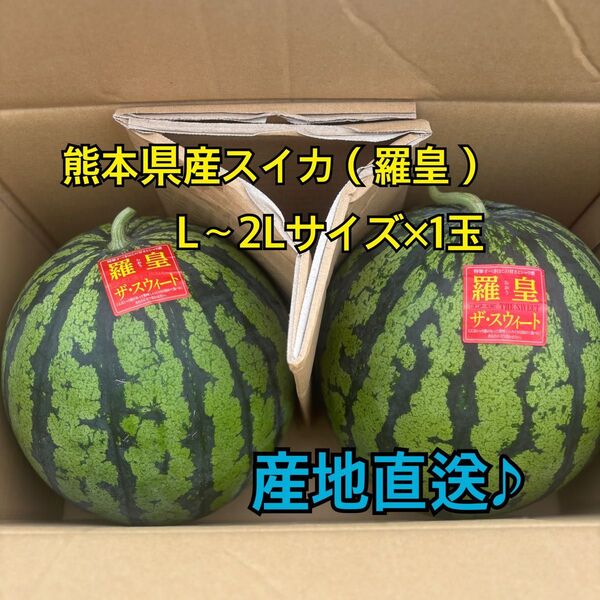 産地直送 熊本県産 スイカ×1玉(羅皇ザ スウィート) 秀品 L~2Lサイズ(6~7キロ)