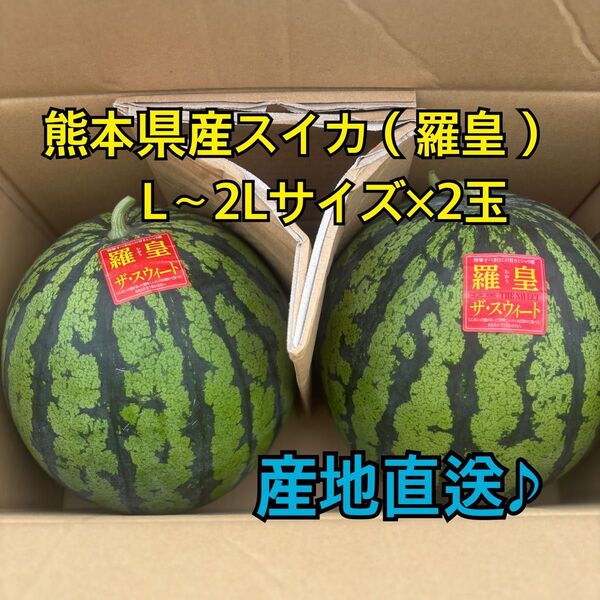 産地直送 熊本県産 スイカ×2玉(羅皇ザ スウィート) 秀品 L~2Lサイズ(6~7キロ)