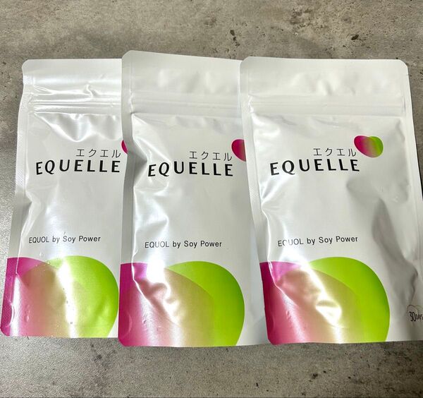 エクエル パウチ 120粒 3袋セット 大塚製薬