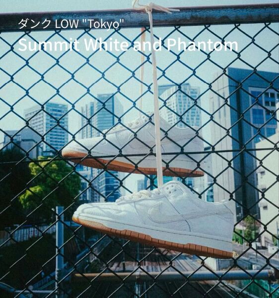 Nike Dunk Low Retro QS City Pack "Tokyo" (Japan Exclusive) 東京ダンク