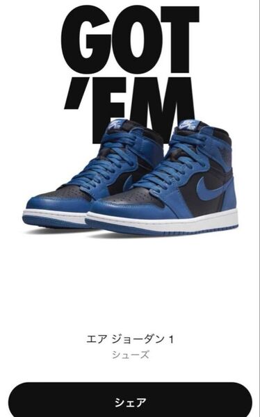 Nike Air Jordan 1 High OG Dark Marina Blue ジョーダン1 ロイヤル