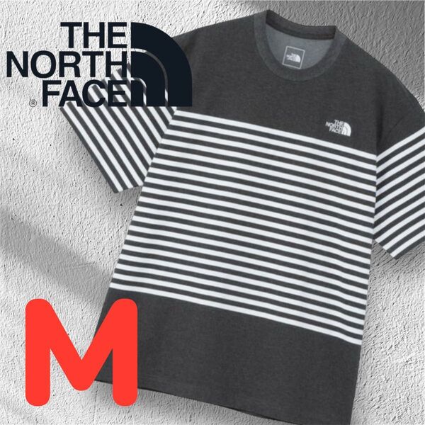 新品 ノースフェイス ショートスリーブパネルボーダーティーTシャツ M THE NORTH FACE