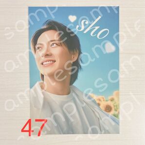A4 写真 フォト ポスター 47平野紫耀