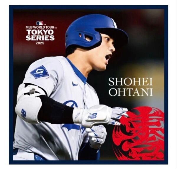【新品未使用】大谷翔平 マイクロファイバーハンドタオル
