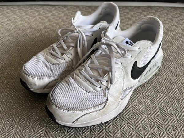 NIKE エアマックス エクシー