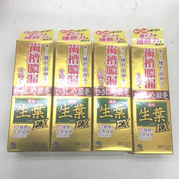 新品 小林製薬 生葉EX ひきしめ最多タイプ 4点セット