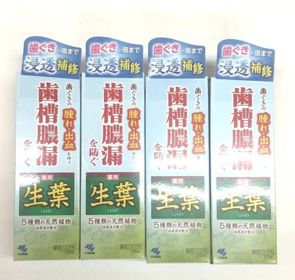 新品 小林製薬 生葉 ハーブミント味 4点セット