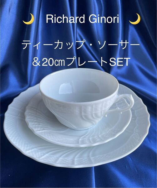 Richard Ginori リチャードジノリ ティーカップ・ソーサー&20cmプレートSET (セット販売)