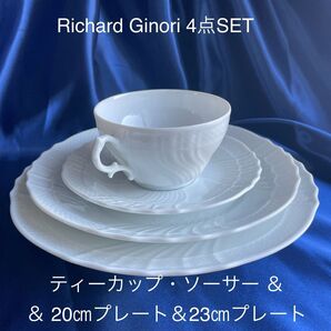 Richard Ginori4点SET ティーカップ&ソーサー&20cmプレート&23㎝プレートのセットです。