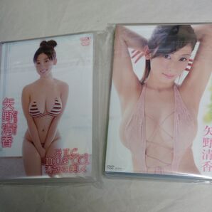 DVD 矢野清香 2本セット しっとりさやか/みすど 清らかに美しく
