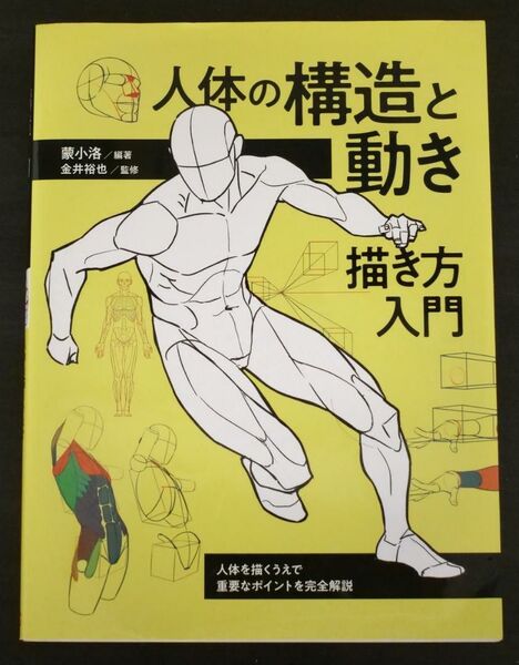 人体の構造と動き 描き方入門
