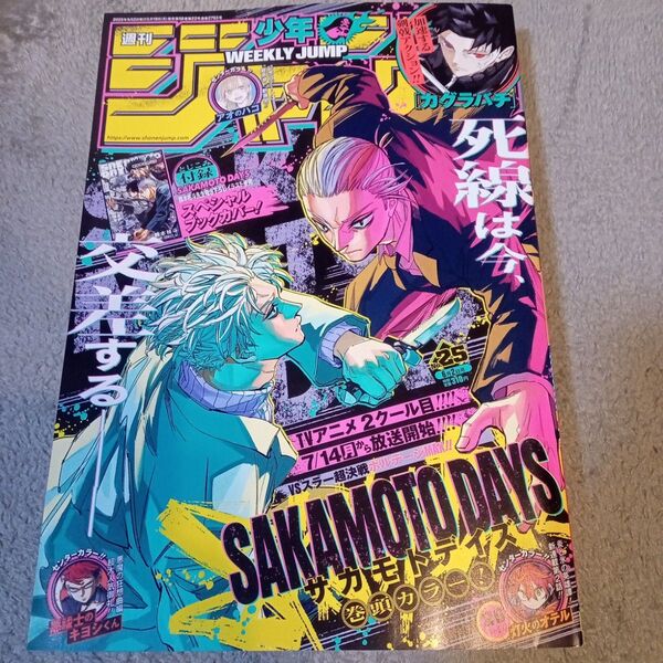 週刊少年ジャンプ2025年25号