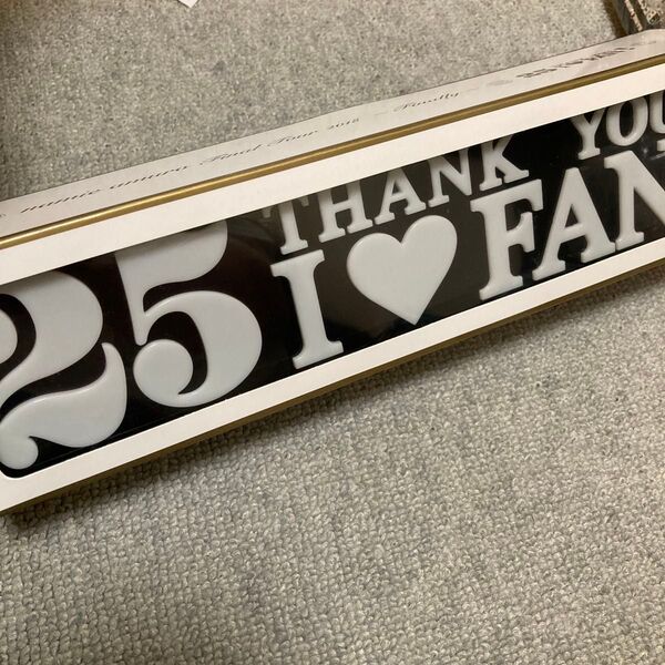 安室奈美恵 ルームランプ ブラック 黒 展示会 ルームライト 25th アイラブファン