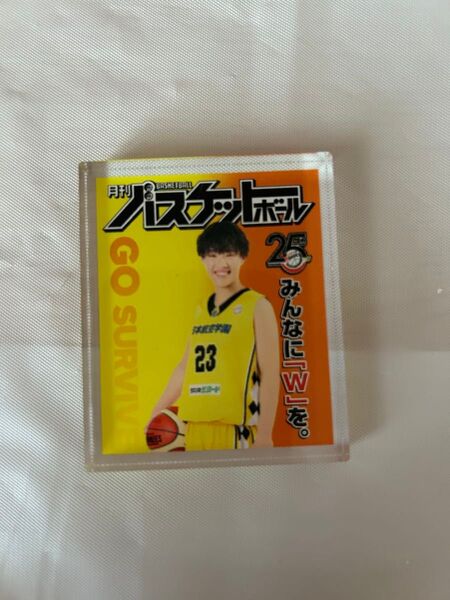 Wリーグ アクリルプレート 山梨クィーンビーズ 井上桃子