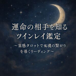 【 運命の相手を知るツインレイ鑑定 】~霊感タロットで魂の繋がりを導くリーディング~
