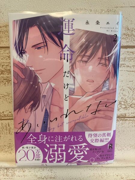 「運命だけどあいいれない 2」 永条エイ