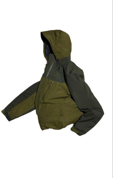 【超レア】ARC'TERYX fission sv JAVA 金刺繍 フィッション PRIMALOFT