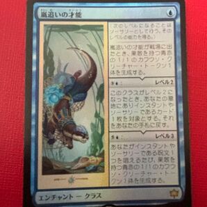 MTG 嵐追いの才能 foil