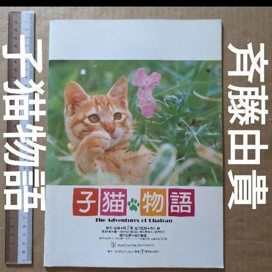 子猫物語 斉藤由貴 映画パンフレット 畑正憲