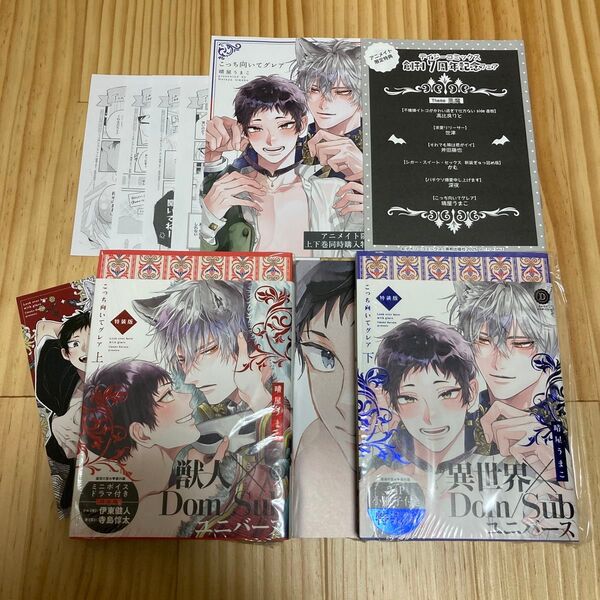 こっち向いてグレア 特装版 アニメイト 特典 リーフレット デイジーコミック 小冊子