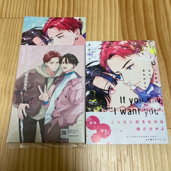 「お前がいい」なんて言われたら 鳥田ちず アニメイトセット 特典 小冊子 リーフレット