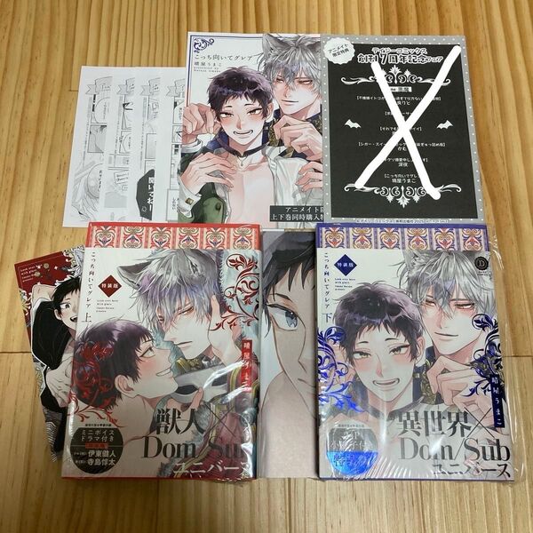 こっち向いてグレア 特装版 アニメイト 特典 リーフレット デイジーコミック 小冊子
