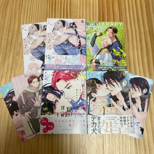 「お前がいい」なんて言われたら 俺たち新婚なので 恋するメロウミルク アニメイト