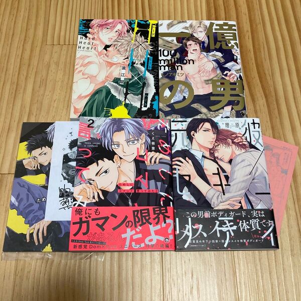 ためしにコマンド言ってみた 2巻 ゆくえ萌葱 アニメイトセット 元彼セキュリティ ハードヒートハート 一億の男