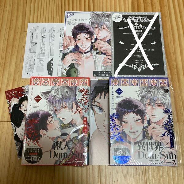 こっち向いてグレア 特装版 アニメイト 特典 リーフレット デイジーコミック 小冊子