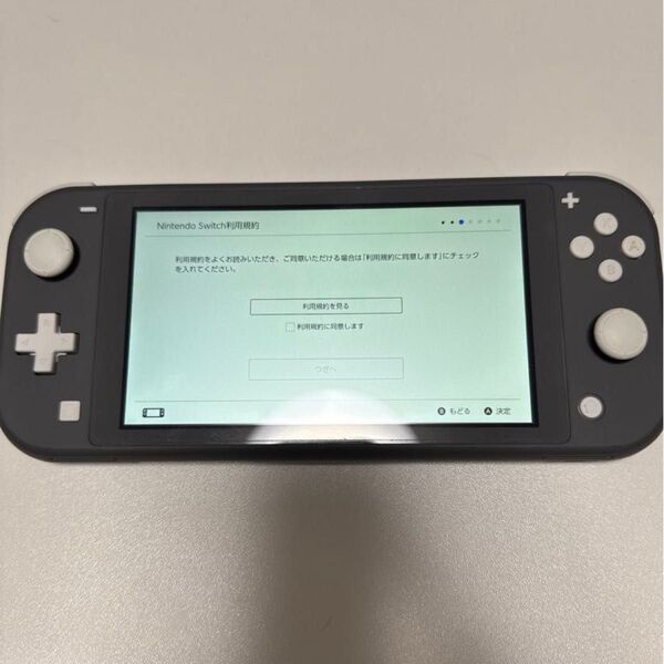 Nintendo Switch Lite グレー 本体