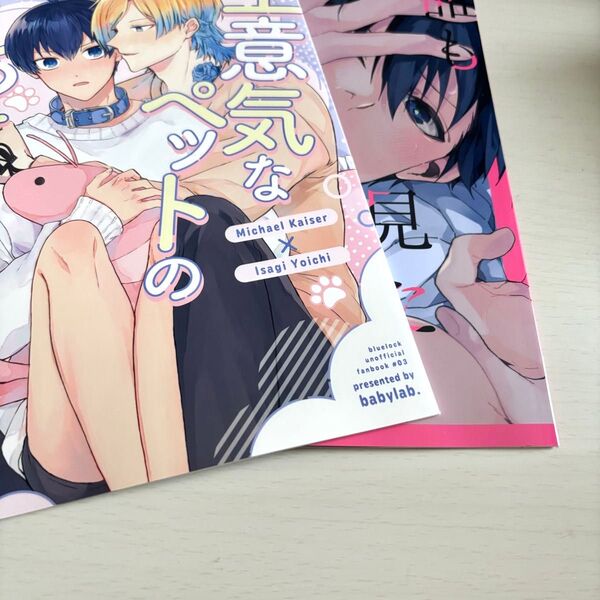 同人誌 カイ潔 kiis 『誰も見たことない顔を』『生意気なペットのしつけ方』